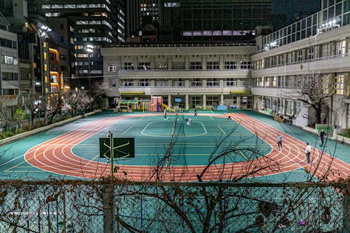 马雷斯卡：帕尔默回归会让球队感到振奋，调整首发是为了赢球