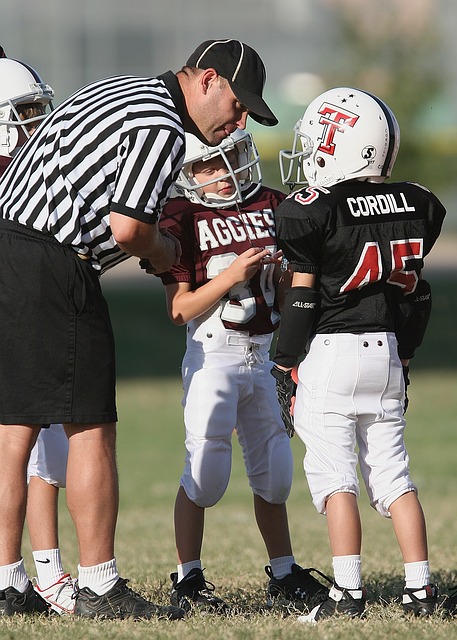 議性的一條 議性的一條