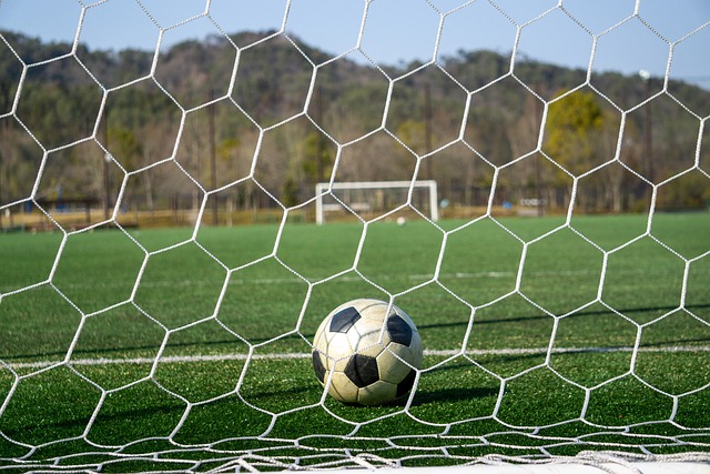 势的影响 势的影响