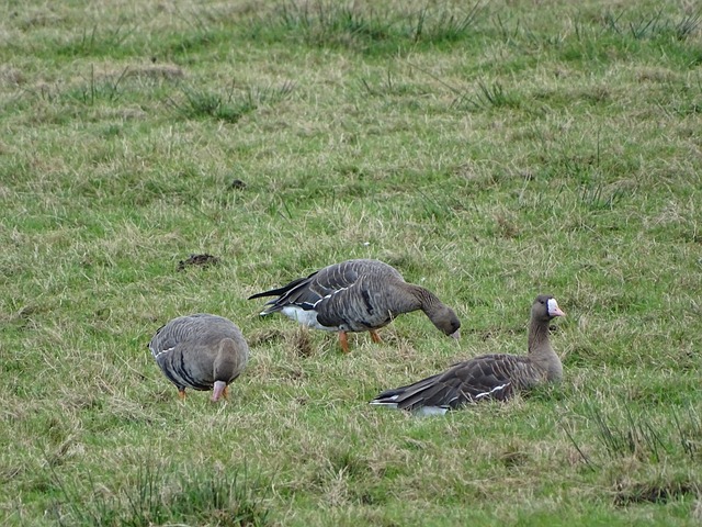 这一消息不 这一消息不