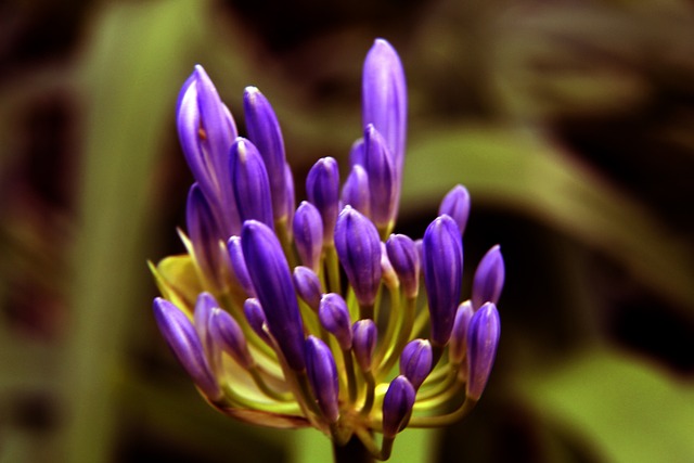 守教练并实 守教练并实