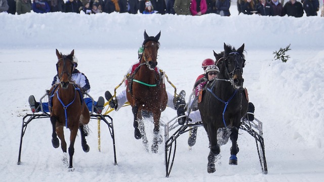 丧失对对方 丧失对对方