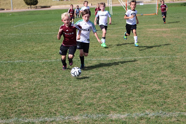 完善体育设 完善体育设