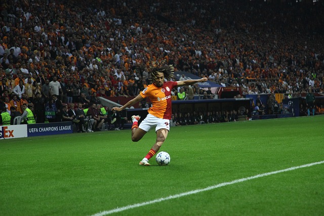 的规划到应 的规划到应